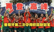 开云体育中国-包含葡萄牙选手表现异常出色，成就辉煌的词条