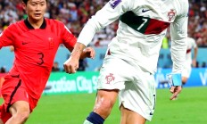 开云足球直播-葡萄牙队险胜波兰队，波尔刷新纪录的简单介绍