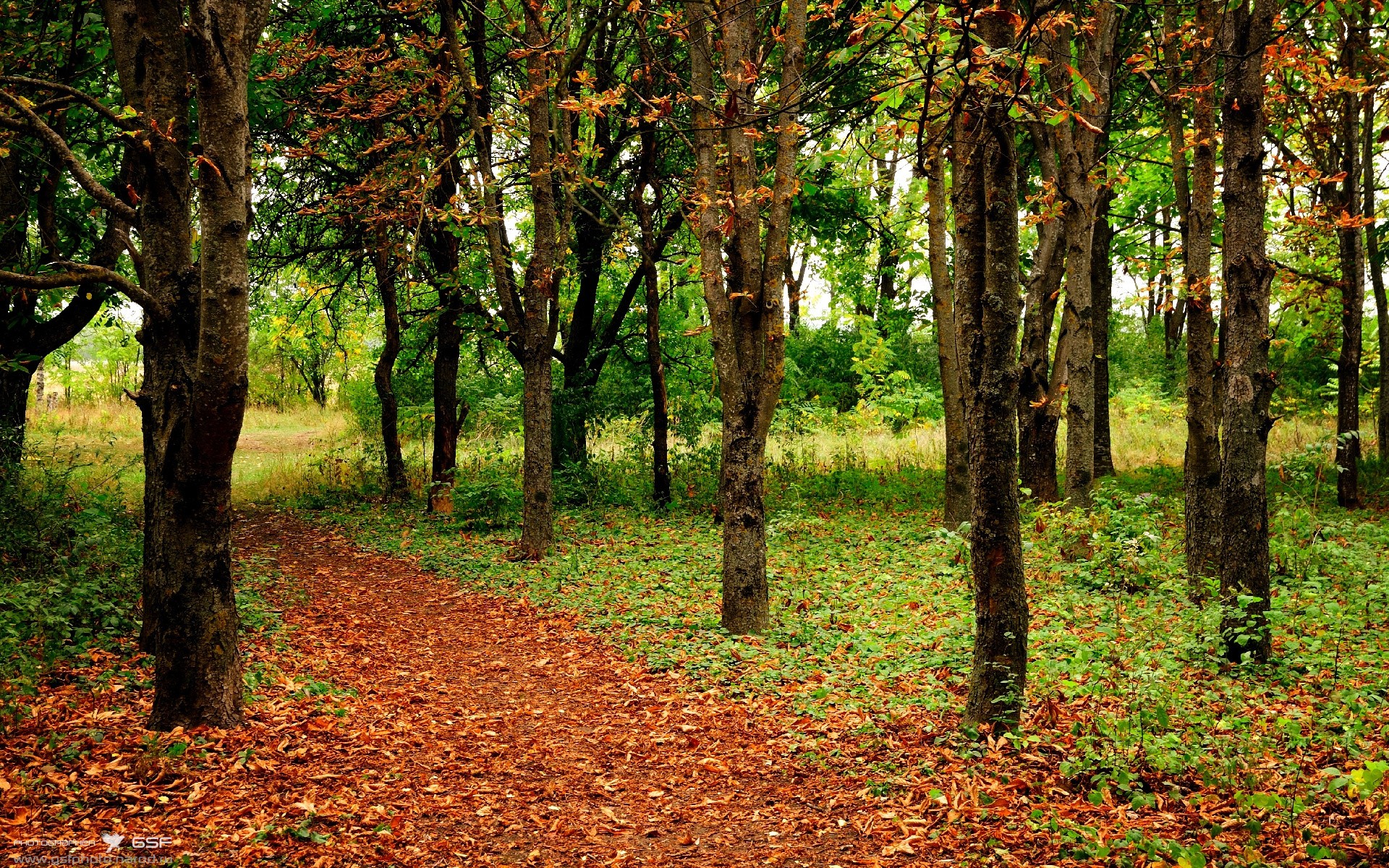 双线叙事,国米终结悬念的艺术与梅西永恒的输出哲学
